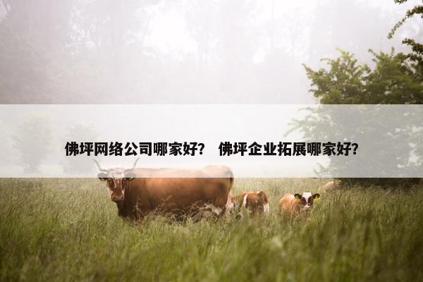 佛坪网络公司哪家好？ 佛坪企业拓展哪家好？