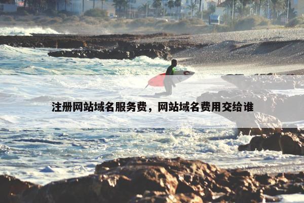 注册网站域名服务费，网站域名费用交给谁