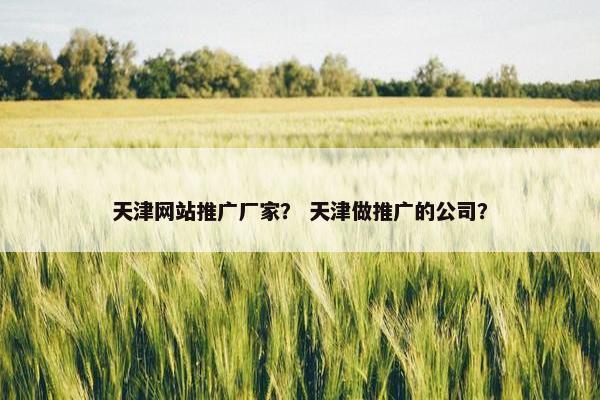 天津网站推广厂家？ 天津做推广的公司？