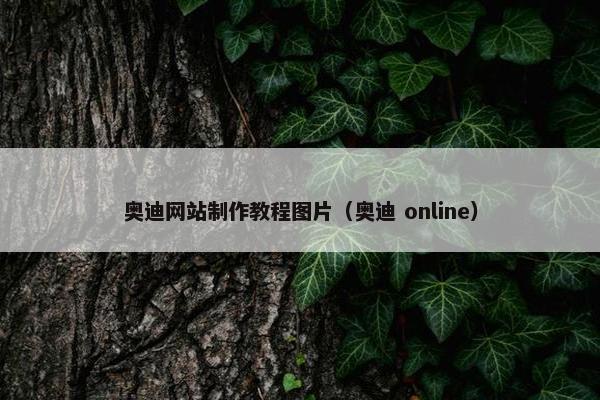 奥迪网站制作教程图片（奥迪 online）