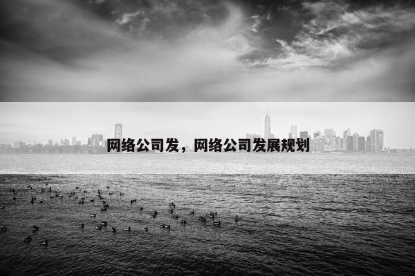 网络公司发，网络公司发展规划
