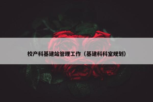 校产科基建站管理工作（基建科科室规划）