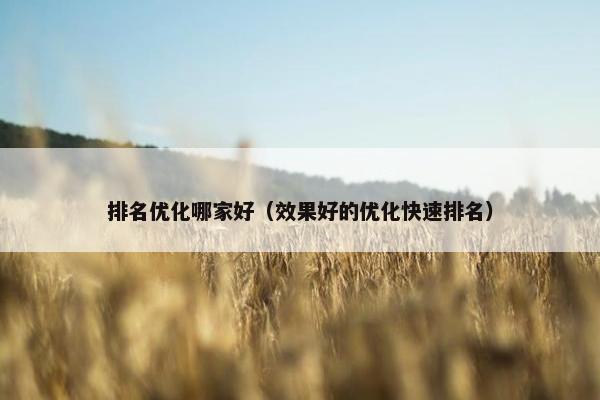 排名优化哪家好（效果好的优化快速排名）