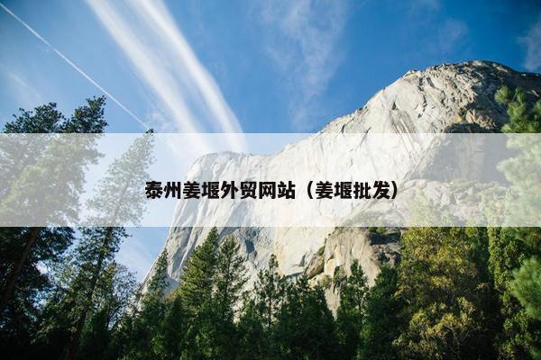泰州姜堰外贸网站（姜堰批发）
