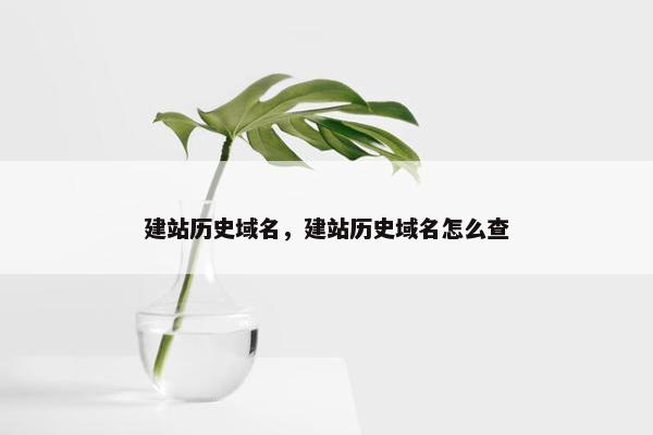 建站历史域名，建站历史域名怎么查
