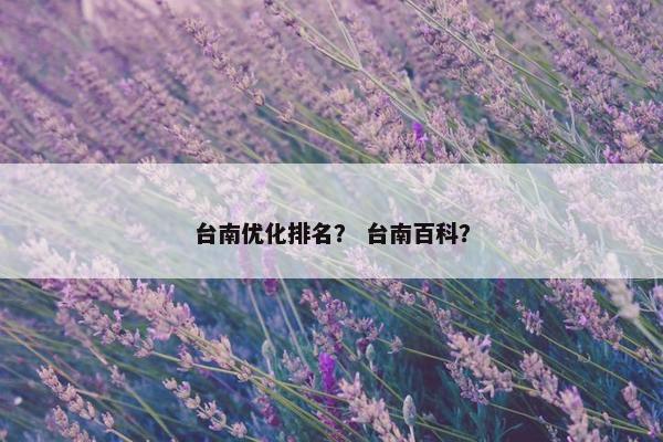 台南优化排名？ 台南百科？