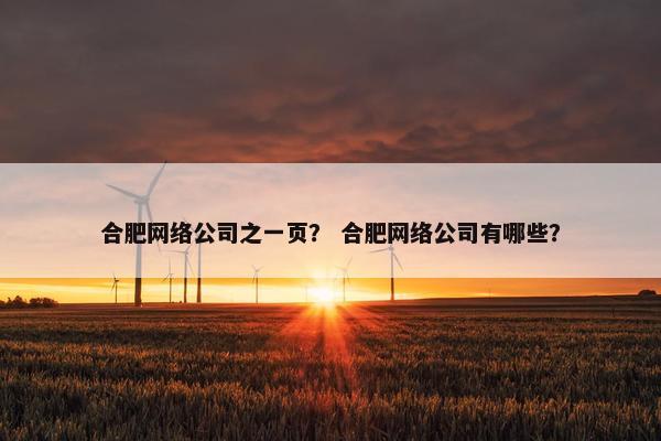 合肥网络公司之一页？ 合肥网络公司有哪些？