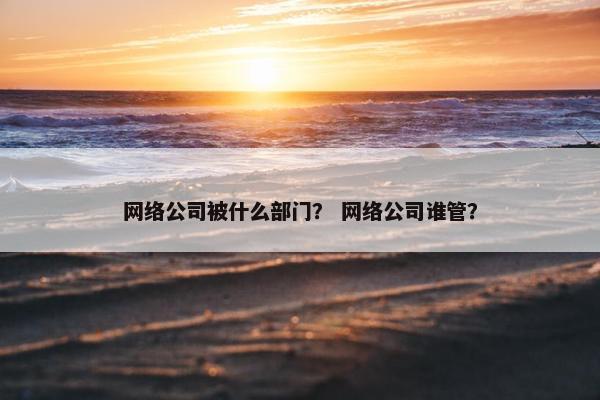 网络公司被什么部门？ 网络公司谁管？