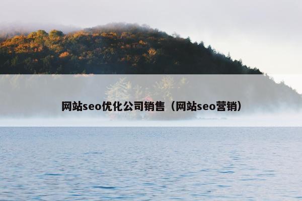 网站seo优化公司销售（网站seo营销）