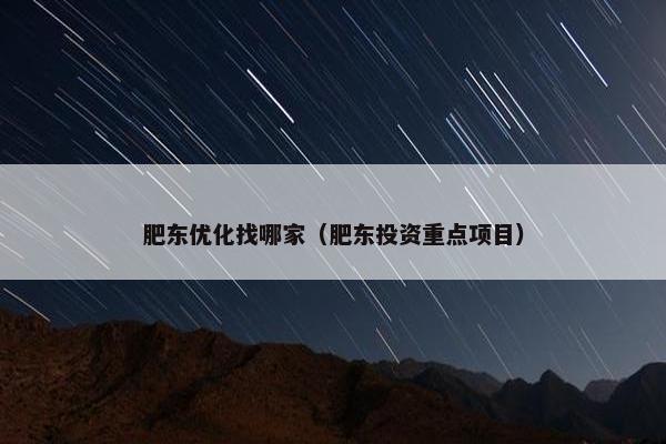 肥东优化找哪家（肥东投资重点项目）