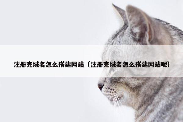 注册完域名怎么搭建网站（注册完域名怎么搭建网站呢）
