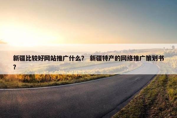 新疆比较好网站推广什么？ 新疆特产的网络推广策划书？