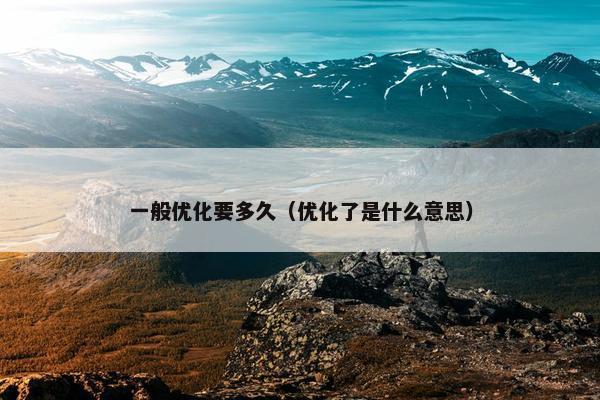 一般优化要多久（优化了是什么意思）