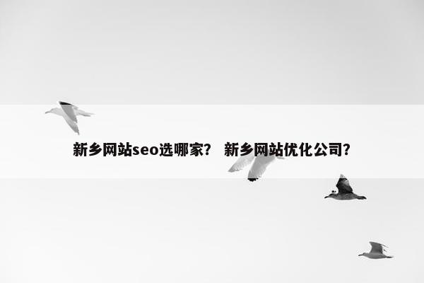 新乡网站seo选哪家？ 新乡网站优化公司？