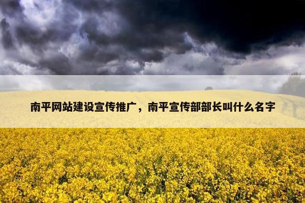 南平网站建设宣传推广，南平宣传部部长叫什么名字