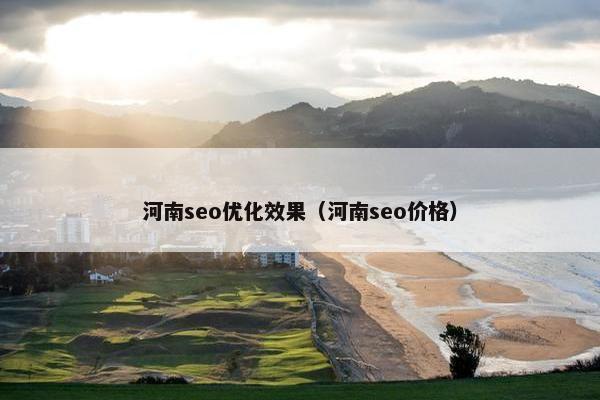 河南seo优化效果（河南seo价格）