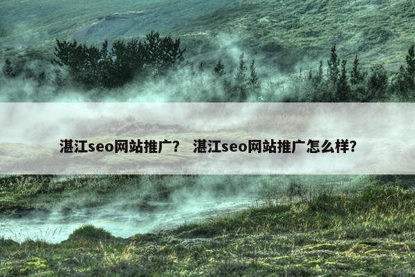 湛江seo网站推广？ 湛江seo网站推广怎么样？