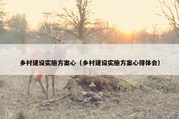 乡村建设实施方案心（乡村建设实施方案心得体会）