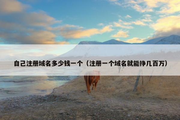 自己注册域名多少钱一个（注册一个域名就能挣几百万）