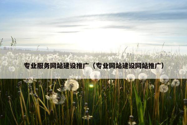 专业服务网站建设推广（专业网站建设网站推广）