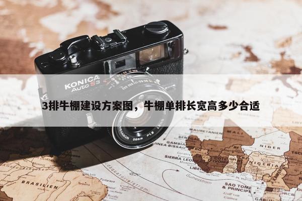 3排牛棚建设方案图，牛棚单排长宽高多少合适