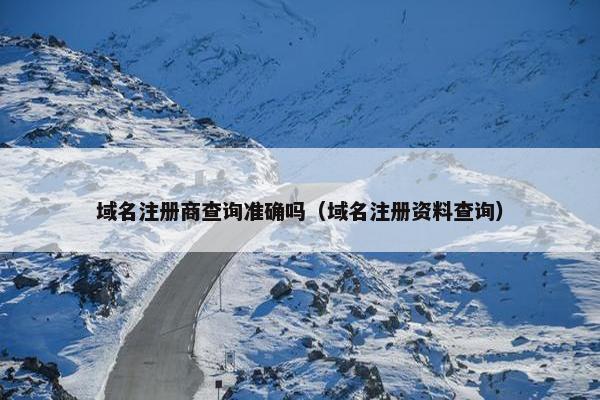 域名注册商查询准确吗（域名注册资料查询）