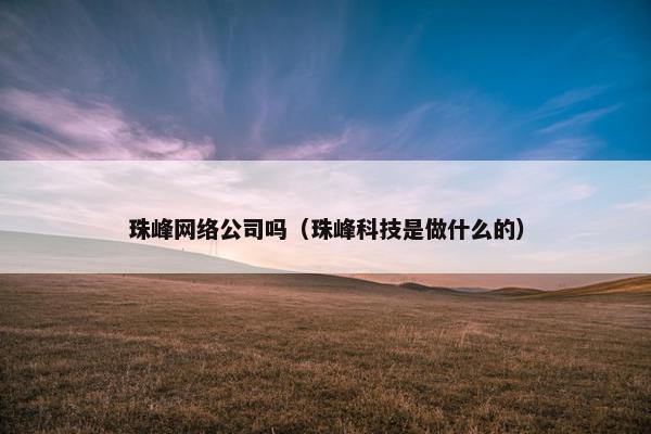 珠峰网络公司吗（珠峰科技是做什么的）