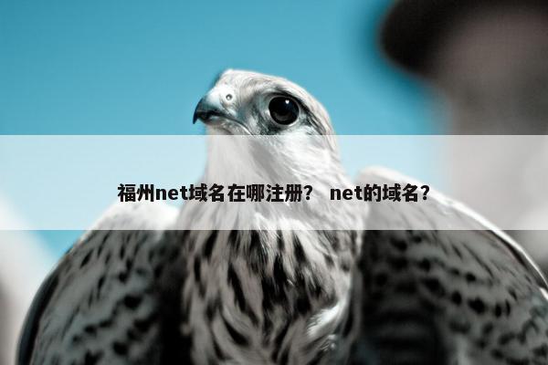 福州net域名在哪注册？ net的域名？