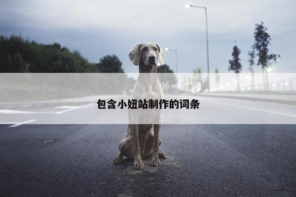 包含小妞站制作的词条