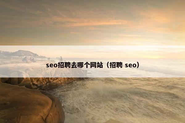 seo招聘去哪个网站（招聘 seo）