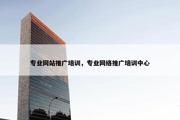 专业网站推广培训，专业网络推广培训中心