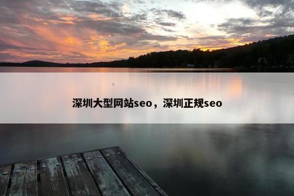 深圳大型网站seo，深圳正规seo