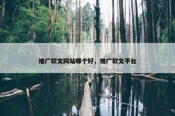 推广软文网站哪个好，推广软文平台