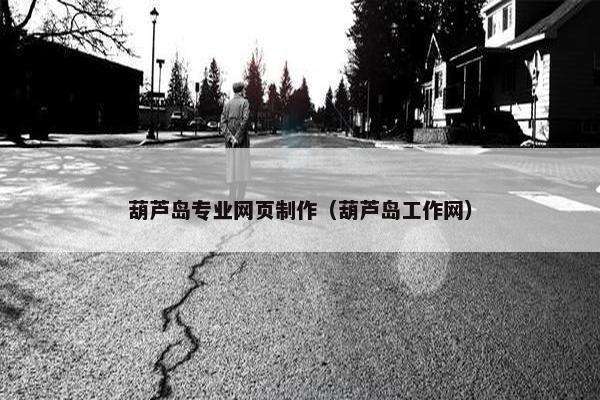 葫芦岛专业网页制作（葫芦岛工作网）