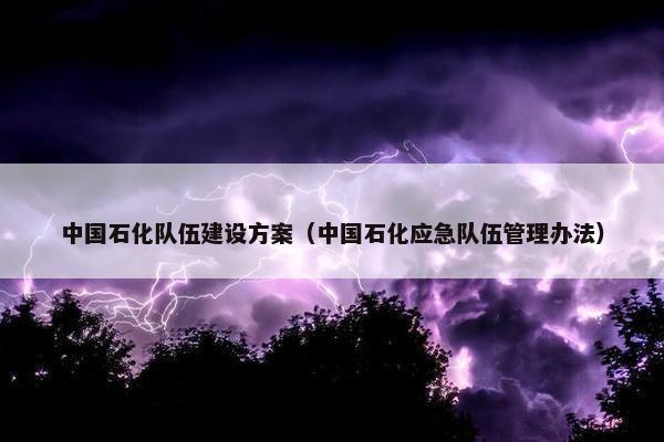 中国石化队伍建设方案（中国石化应急队伍管理办法）