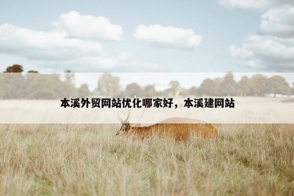 本溪外贸网站优化哪家好，本溪建网站