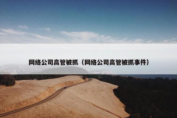 网络公司高管被抓（网络公司高管被抓事件）