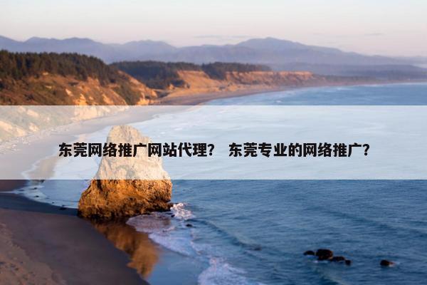 东莞网络推广网站代理？ 东莞专业的网络推广？
