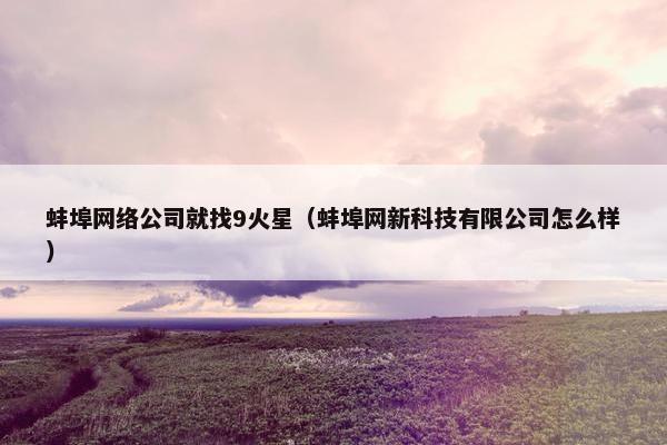蚌埠网络公司就找9火星（蚌埠网新科技有限公司怎么样）