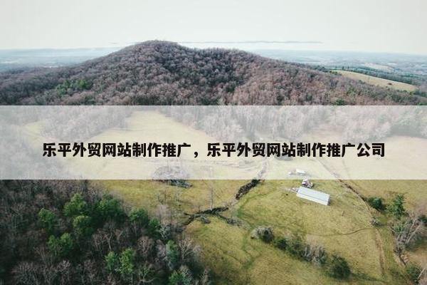乐平外贸网站制作推广，乐平外贸网站制作推广公司