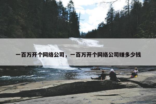 一百万开个网络公司，一百万开个网络公司赚多少钱
