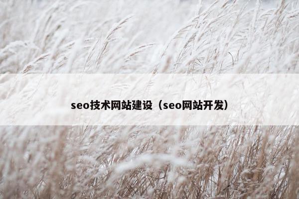 seo技术网站建设（seo网站开发）