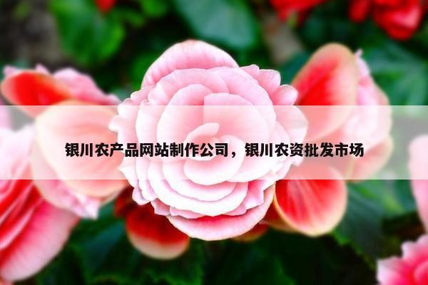 银川农产品网站制作公司，银川农资批发市场