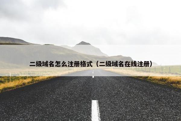 二级域名怎么注册格式（二级域名在线注册）