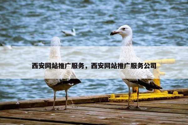 西安网站推广服务，西安网站推广服务公司