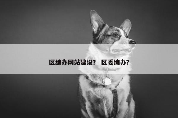 区编办网站建设？ 区委编办？