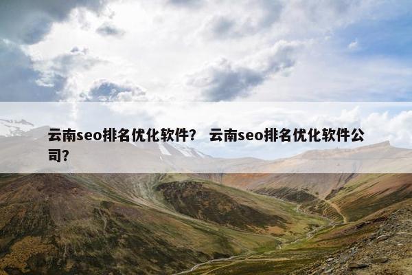 云南seo排名优化软件？ 云南seo排名优化软件公司？