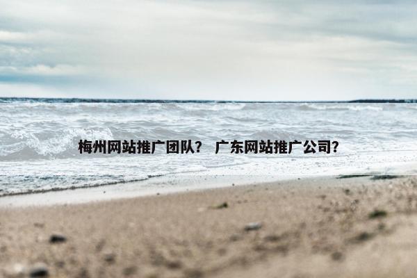 梅州网站推广团队？ 广东网站推广公司？