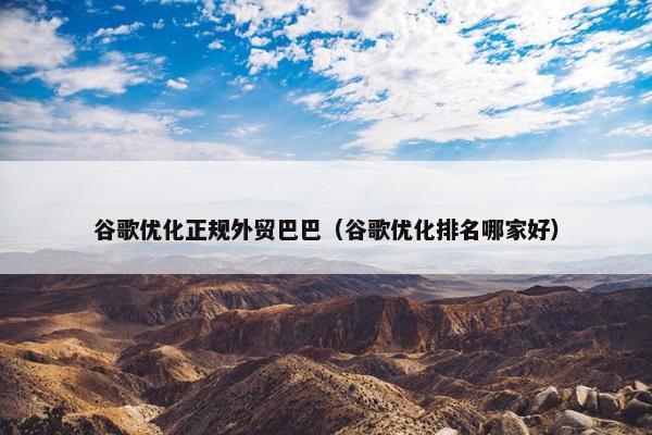 谷歌优化正规外贸巴巴（谷歌优化排名哪家好）