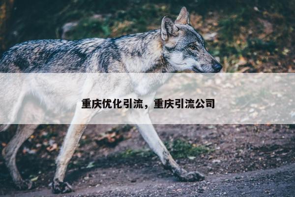 重庆优化引流，重庆引流公司